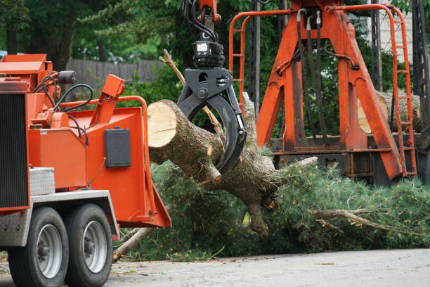 Monticello, FL Tree Care  Company